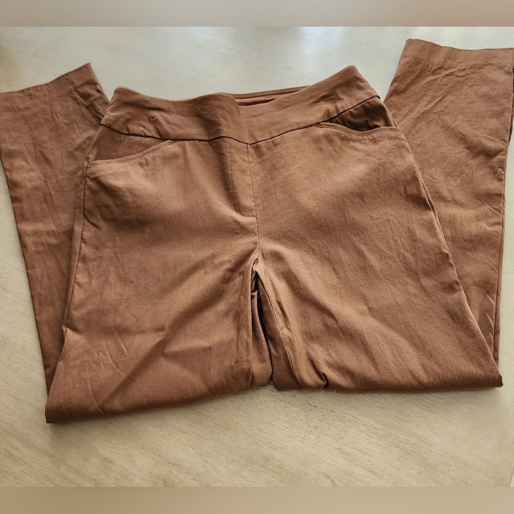 Worthington Tobacco Brown Pull On Skinny pants size Small